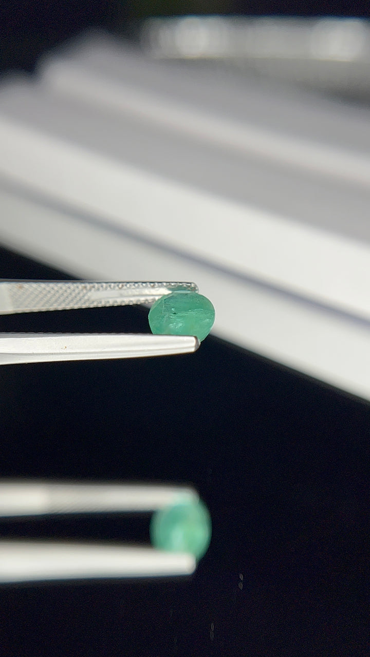 Emerald 1.56 Cts.