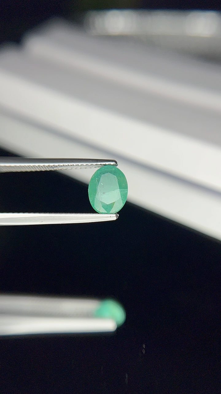 Emerald 1.56 Cts.